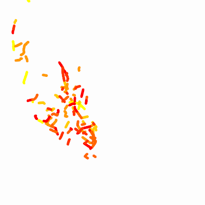 Export Image