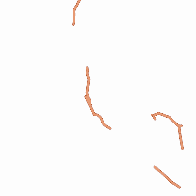 Export Image
